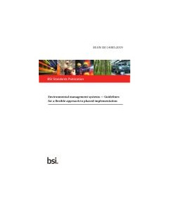 BS EN ISO 14005:2019